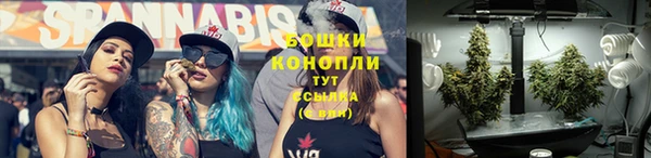 mdpv Сясьстрой