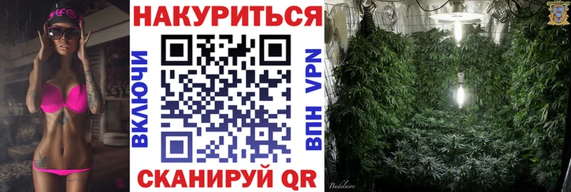 Купить где  Калининград  Конопля гибрид 